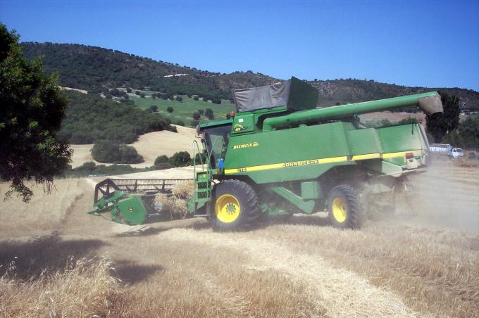 image Cosechadora cortando trigo