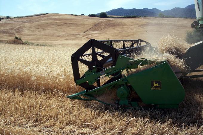 image Cosechadora cosechando trigo