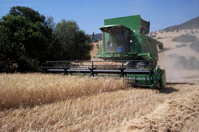 image Cosechadora cosechando trigo