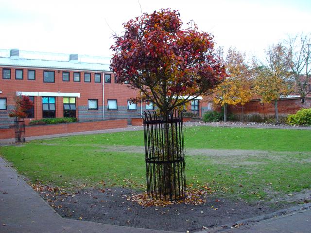 image Patio de colegio