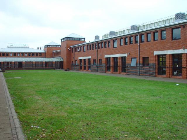 image Césped en centro escolar