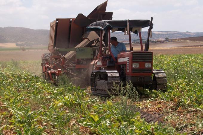 image Cosechadora de remolacha