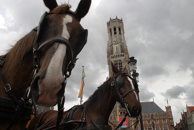 image Caballos en la Plaza Mayor con la Torre Belfry de fondo, Brujas, Bélgica
