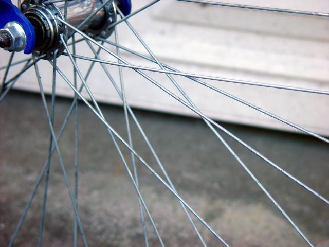 image Radios de bicicleta