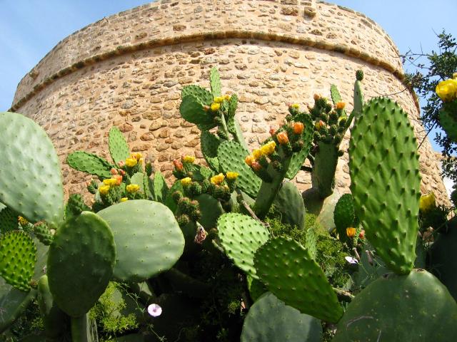 image Baluarte en el Puig de Missa, Santa Eulalia, Ibiza, Islas Baleares