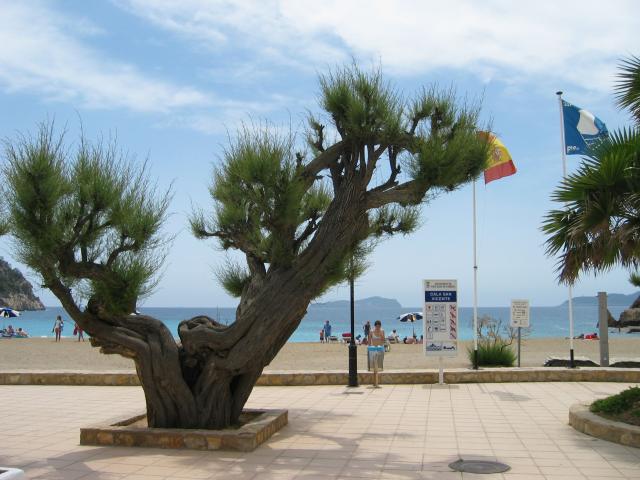 image Cala de San Vicente, Ibiza, Islas Baleares