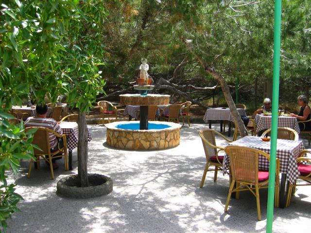 image Pinos retorcidos por la tramontana, Formentera, Islas Baleares