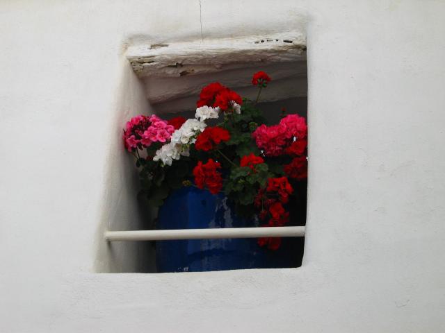 image Ventana con flores, Ibiza, Islas Baleares