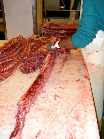 image Troceo de costillas