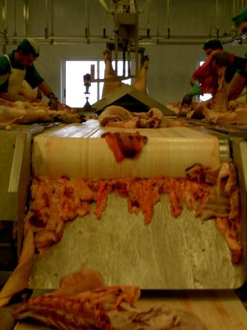 image Cinta transportadora de carne