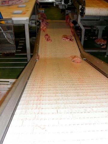 image Cinta transportadora de carne