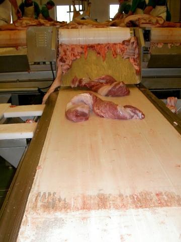 image Cinta transportadora de carne