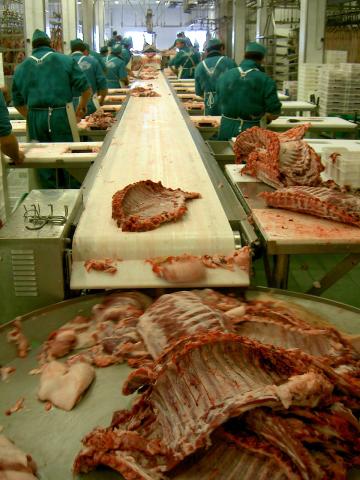 image Cinta transportadora de carne