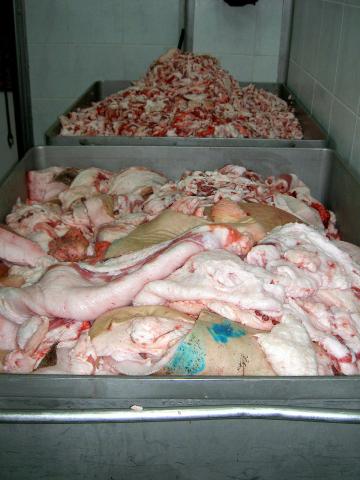 image Pieles de cerdo