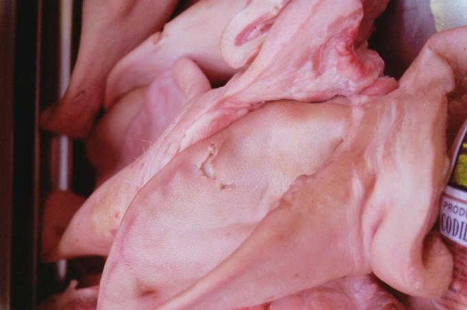 image Oreja de cerdo