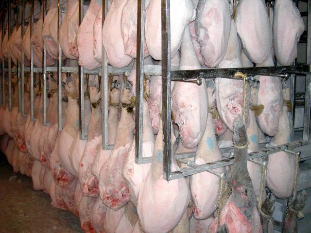 image Jamón en cámara frigorífica