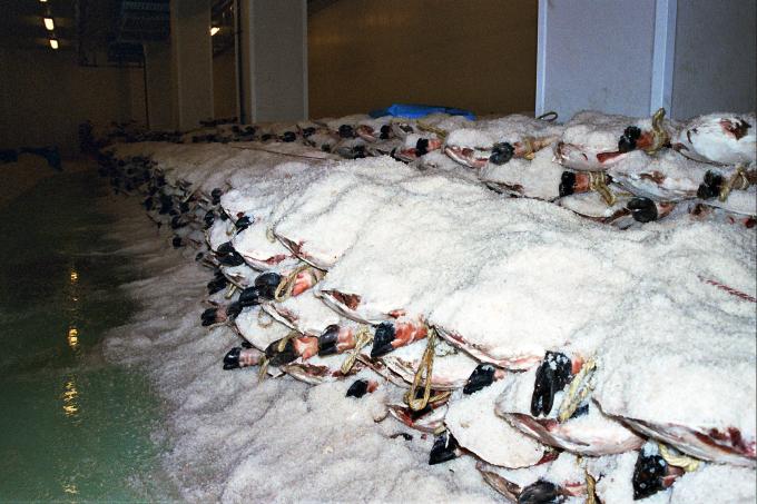 image Jamón en salazón