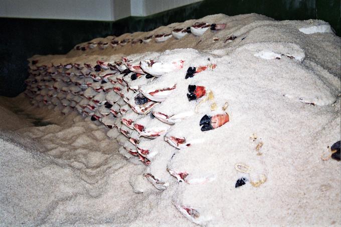 image Jamón en salazón