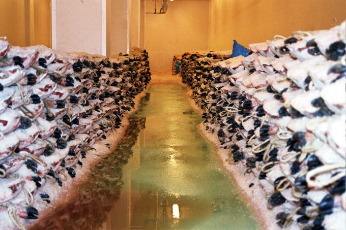 image Jamón en salazón