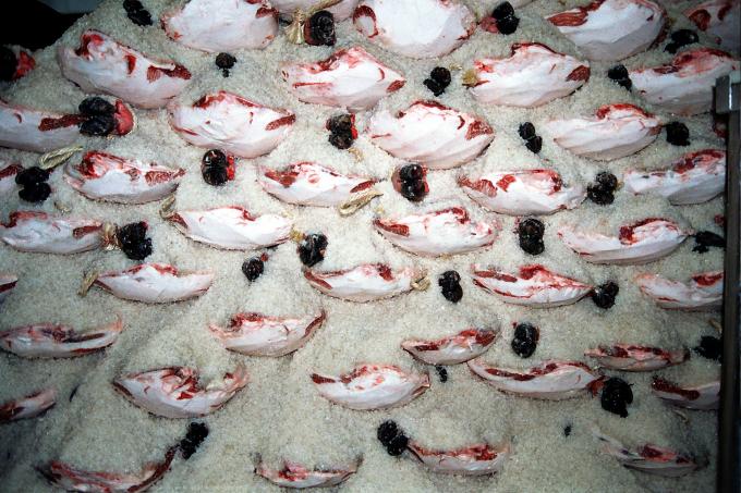 image Jamón en salazón