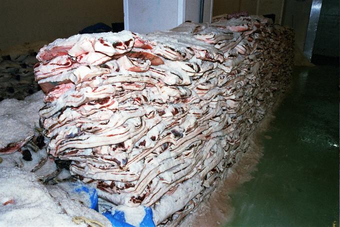 image Panceta en salazón