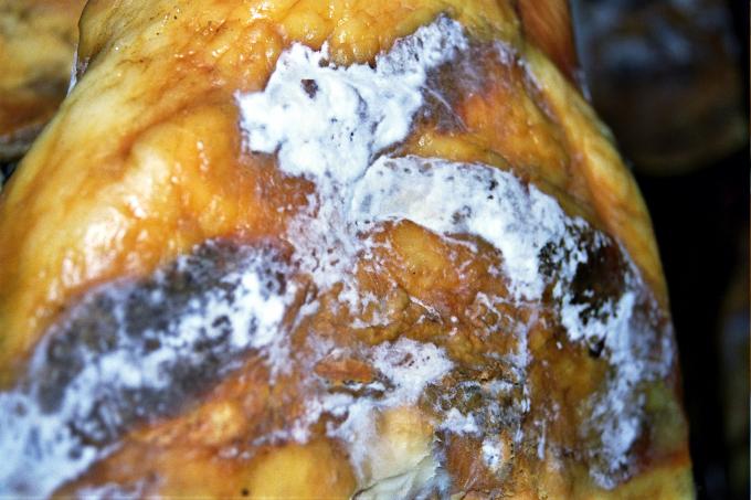 image Jamón enmohecido