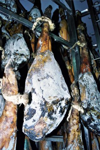 image Jamón enmohecido