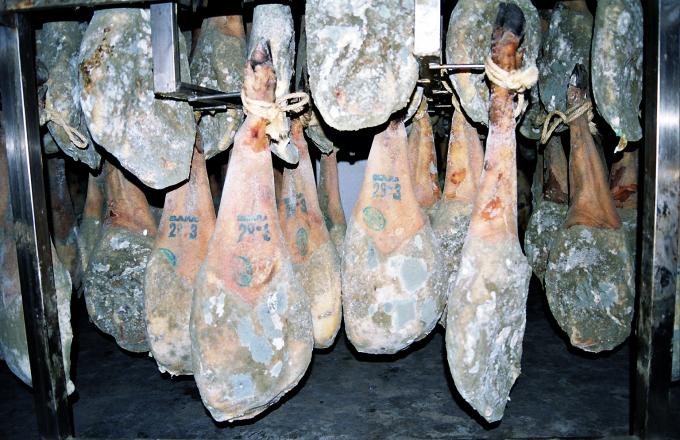 image Jamón enmohecido