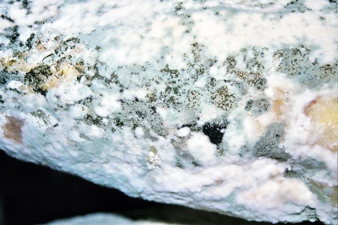 image Jamón enmohecido