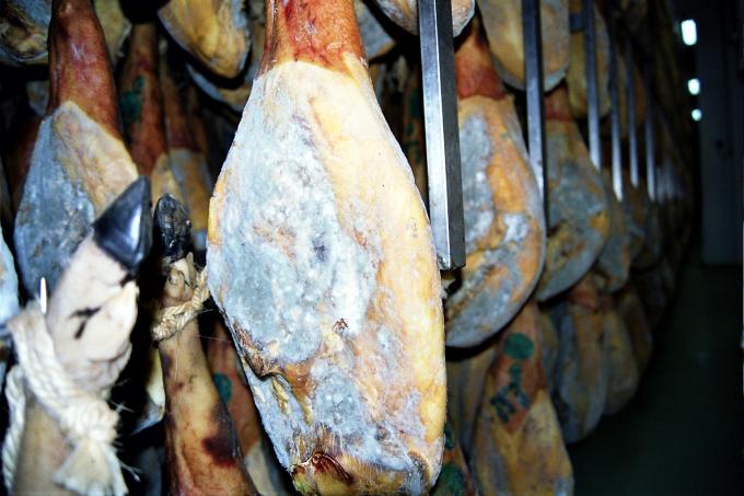 image Jamón enmohecido