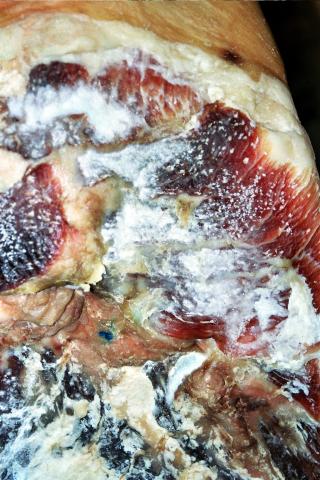 image Jamón enmohecido