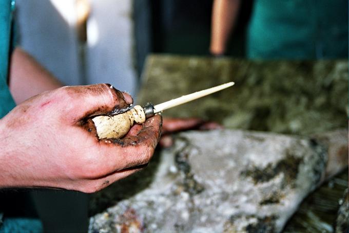 image Catador del jamón