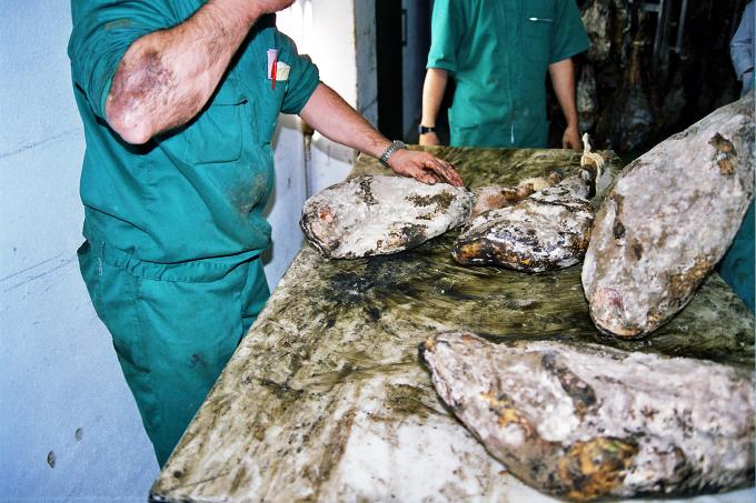 image Catando el jamón