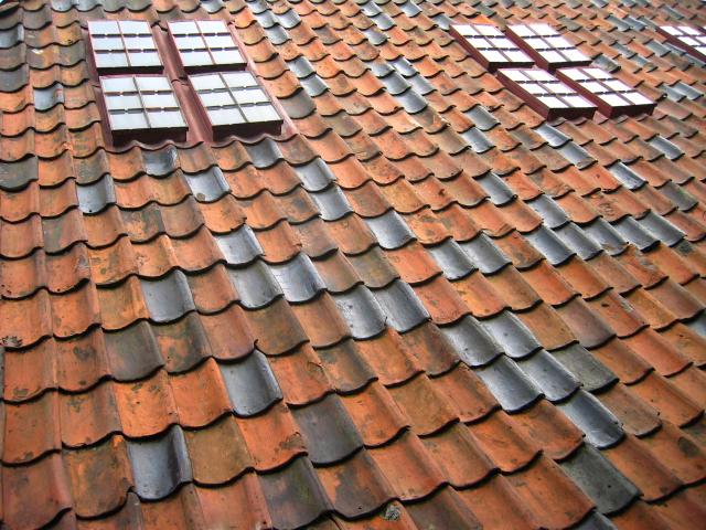 image Tejados del Bryggen del siglo XV, Bergen, Noruega