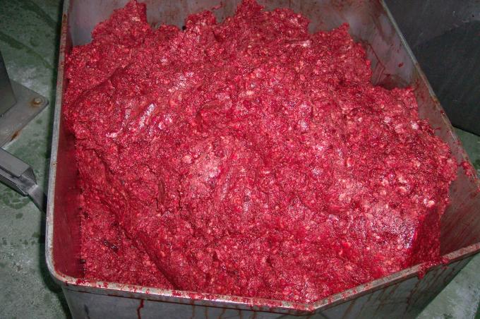 image Masa de chorizo