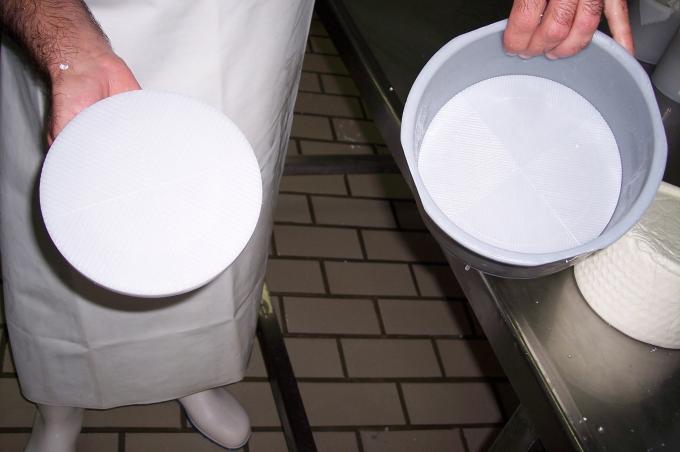 image Base de molde para queso