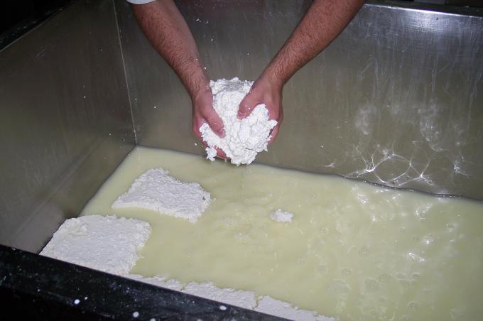 image Cuajo para meter en moldes