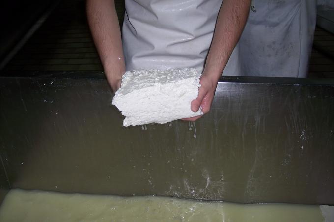 image Cuajo para meter en moldes