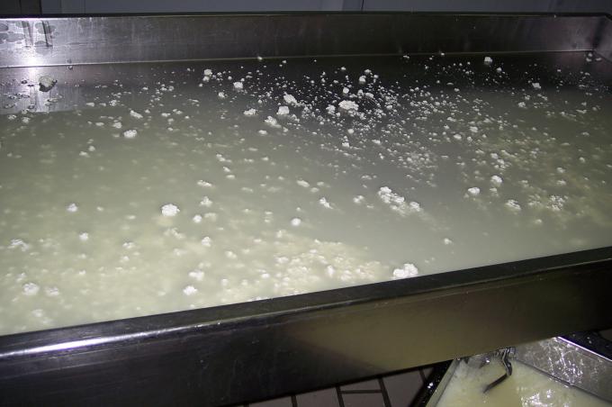 image Cuajo restante despues de hacer el queso