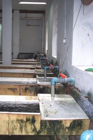 image Bañeras de una piscifactoría llenándose de agua