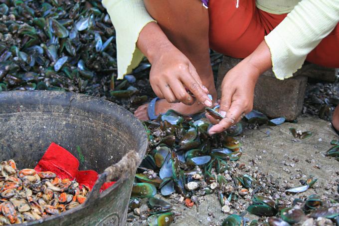 image Limpiando mejillones en Jakarta, Indonesia