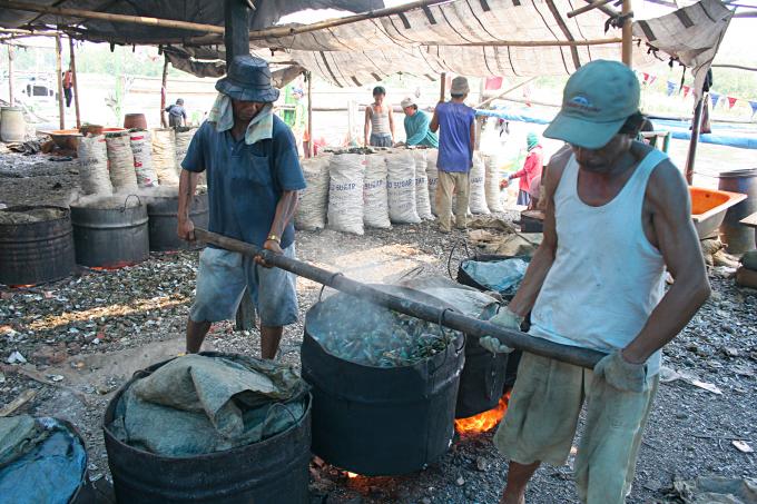 image Cociendo mejillones en Jakarta, Indonesia