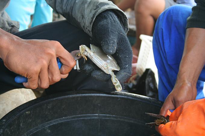 image Cortando las patas de un cangrejo en Jakarta