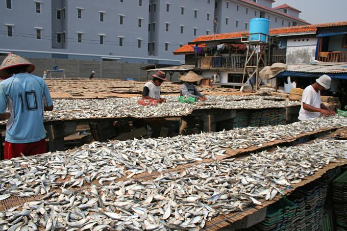 image Trabajando en el secadero de Jakarta, Indonesia