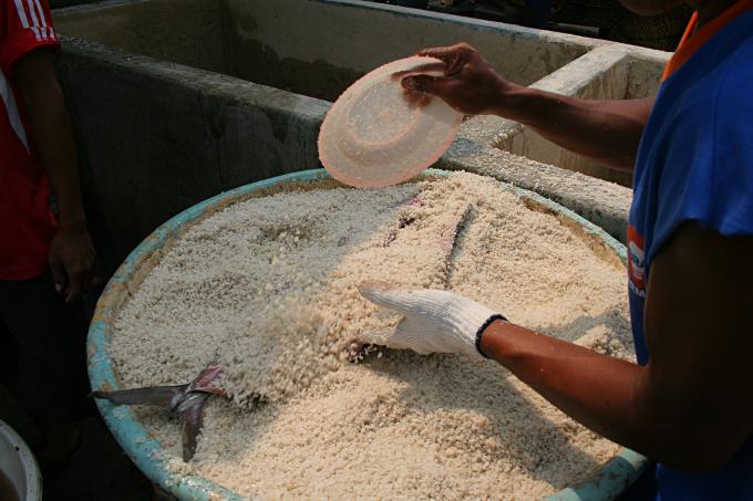 image Secado con sal, Jakarta, Indonesia