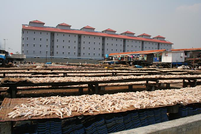 image Secado con salmuera, Jakarta, Indonesia