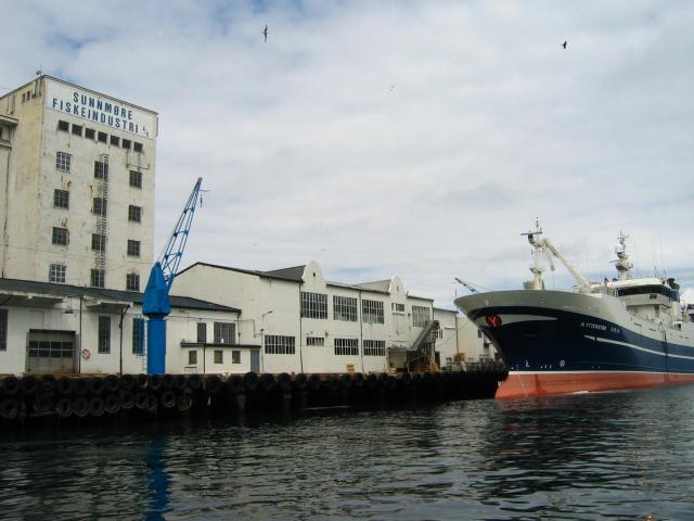 image En Aalesund sigue viva la industria pesquera del arenque, Noruega