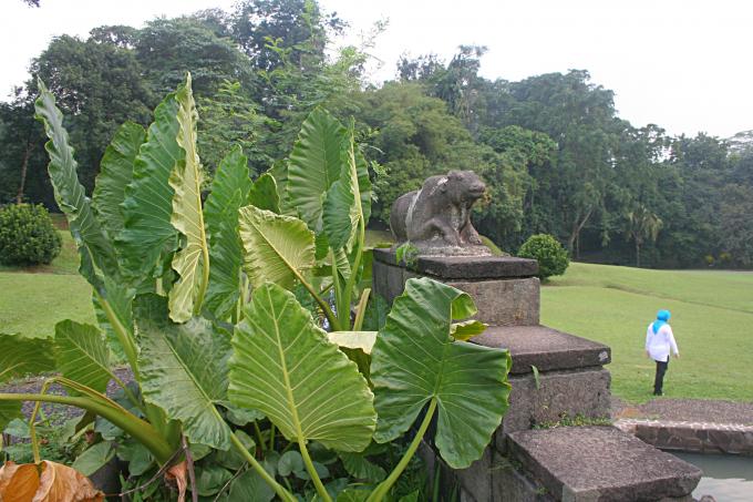 image Vista general del Jardín botánico de Java, Indonesia