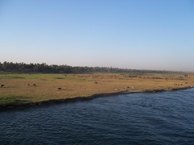 image Orillas del Nilo, Egipto