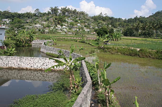 image Acequias y arrozales de Jogyakarta, Indonesia